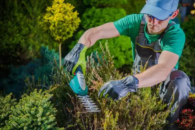 landscaping services Poplar Hills